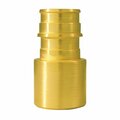 Conbraco Female St Adapter 3/4 In Brass, 5Pk EPXFS345PK